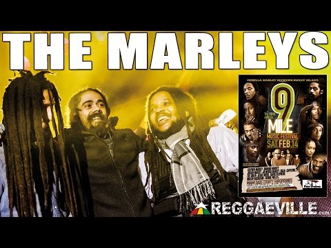 Stephen & Damian Marley - Jah Army @ 9 Mile Music Festival in Miami, FL [2/14/2015]