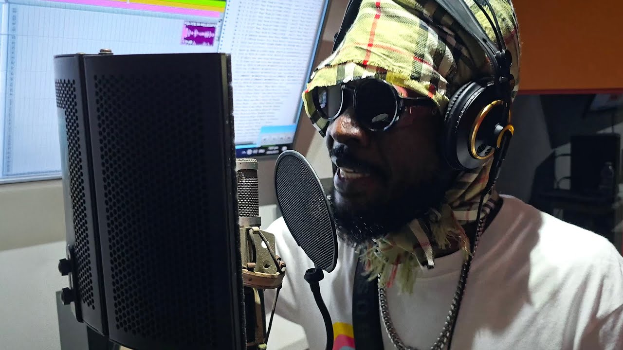 Ninja Ford - Da Song Ya (Little Lion Sound Dubplate)