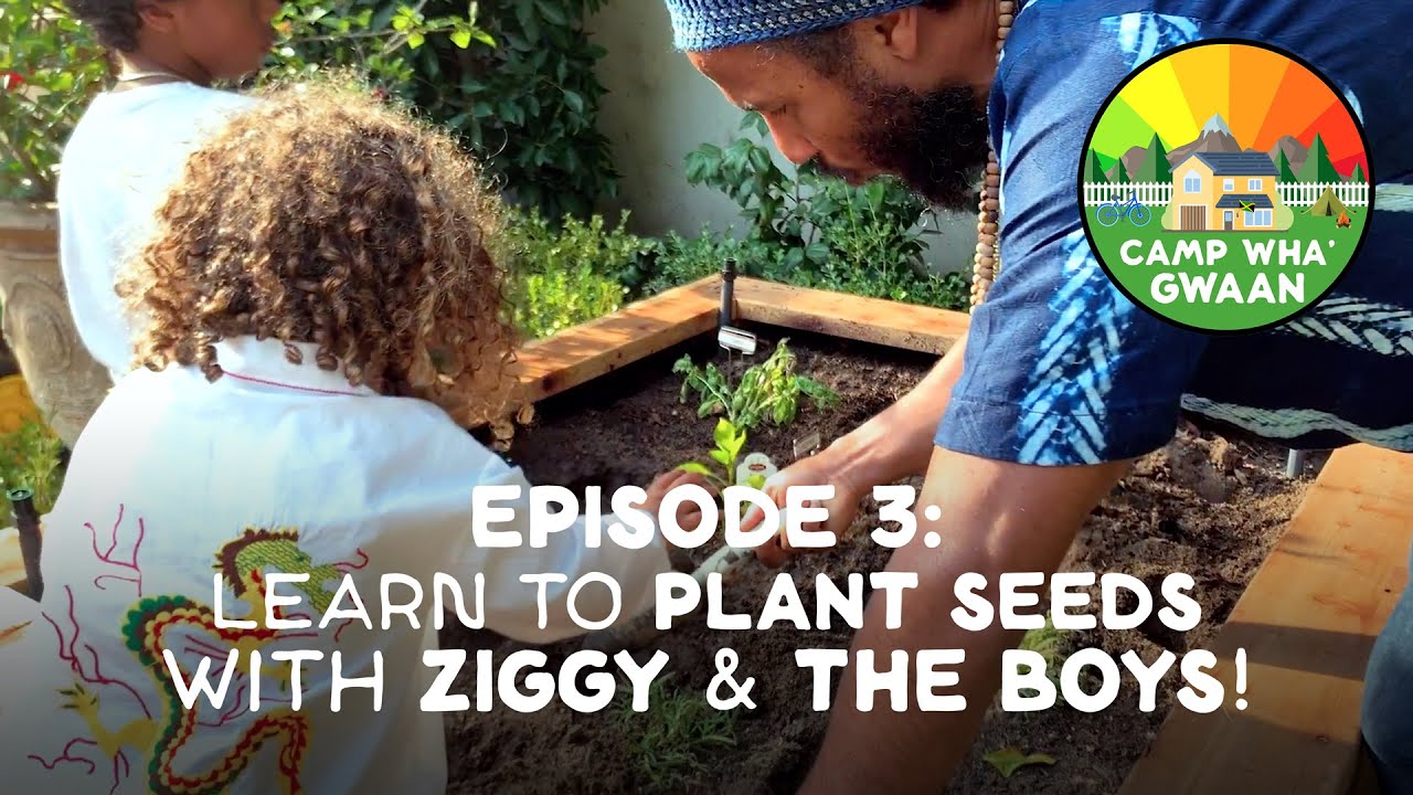 Plant Seeds with Ziggy Marley & the Boys @ Camp Wha'Gwaan (Episode 3) [8/30/2020]