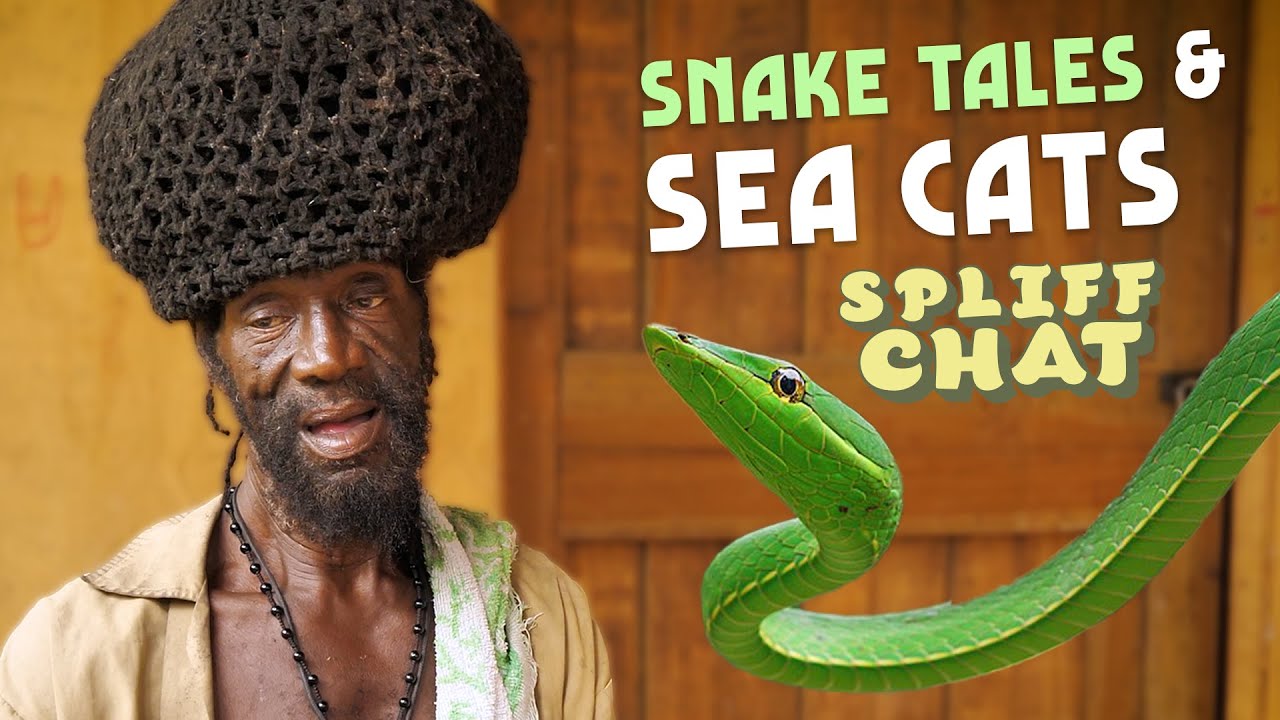 Ras Kitchen - Snake Tales and Sea Cats [5/19/2023]