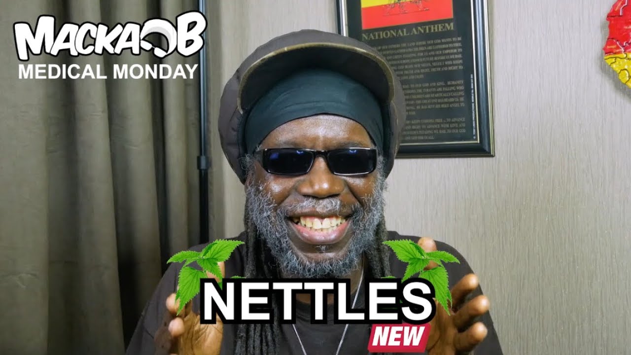 Macka B's Medical Monday - Nettles [4/15/2019]