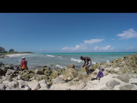 Welcome To Jamrock Reggae Cruise 2015 #2 - Day Three (Snoop The Dog Vlog) [12/7/2015]