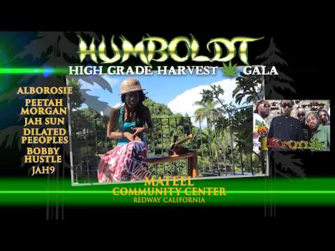 Jah9 @ Humboldt High Grade Harvest Gala 2014 [11/11/2014]