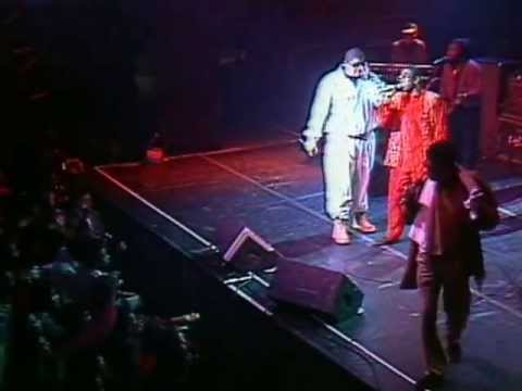 Heavy D & Super Cat & Frankie Paul - Big & Ready [1992]