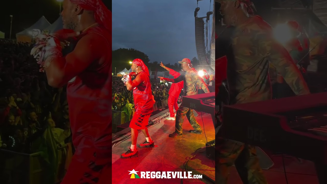The Steel Pulse way to say goodbye to Reggae Geel 2025 [8/2/2025]