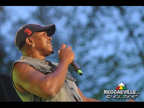 Mr. Vegas - Sweet Jamaica @ Reggae Jam 2015 [7/26/2015]