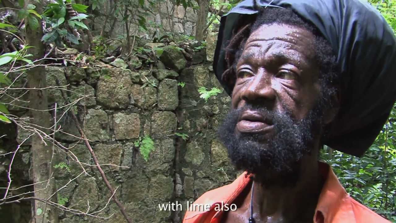 Ras Kitchen - Soursop Juice [10/19/2011]