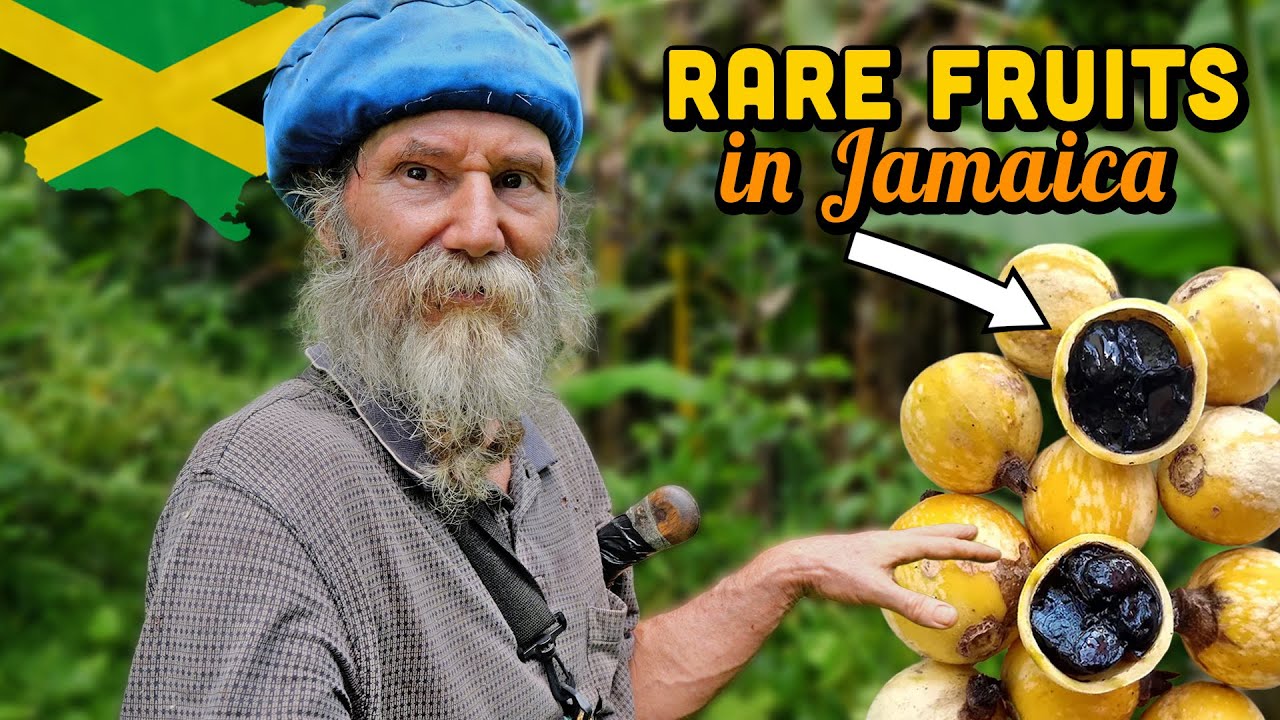 Ras Kitchen - Rare & Exotic Fruit Tour at Tommy's [6/28/2025]