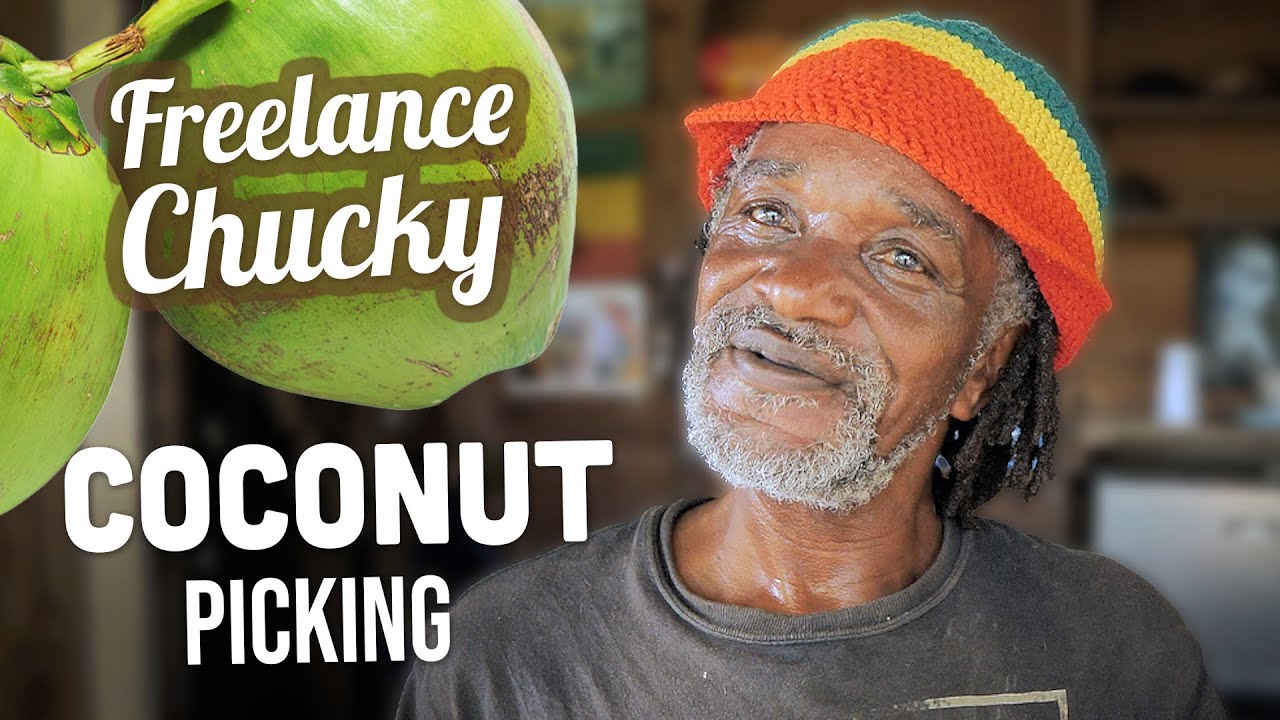 Ras Kitchen - Picking Coconut Jelly at Freelance Chucky's Yard [12/10/2021]