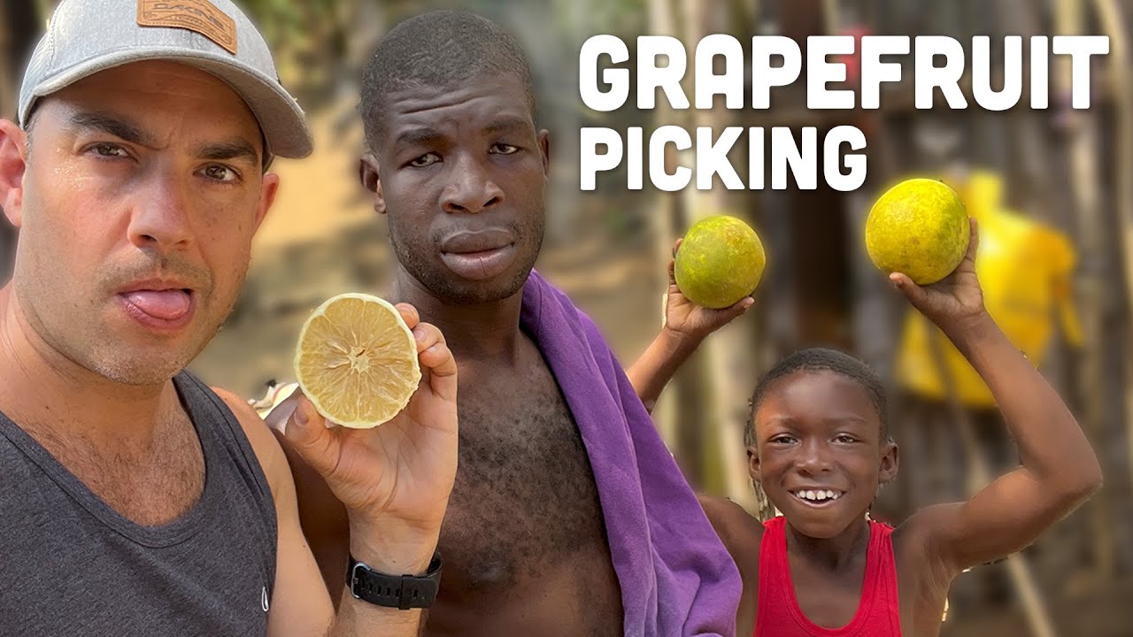 Ras Kitchen - Grapefruit Picking with Coppy & Ratty! [4/1/2022]
