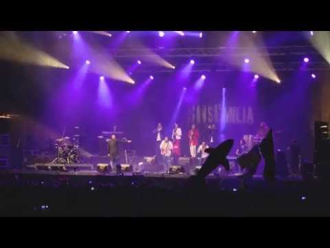 Sinsemilia @ Reggae Sun Ska 2015 [8/8/2015]