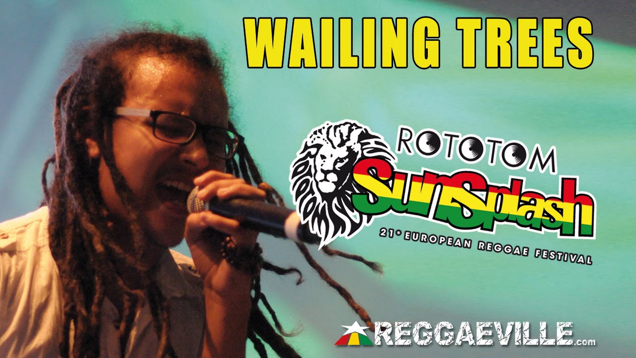 Wailing Trees - Highest Moment @ Rototom Sunsplash 2014 [8/19/2014]