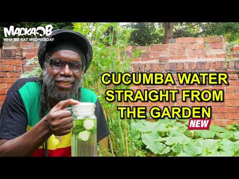 Macka B's Wha Me Eat Wednesdays - Cucumba Water Straight From The Garden [8/19/2020]