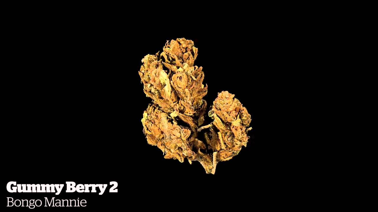 High Times World Cannabis Cup 2015 - Jamaican Indica Flower Entries [11/14/2015]