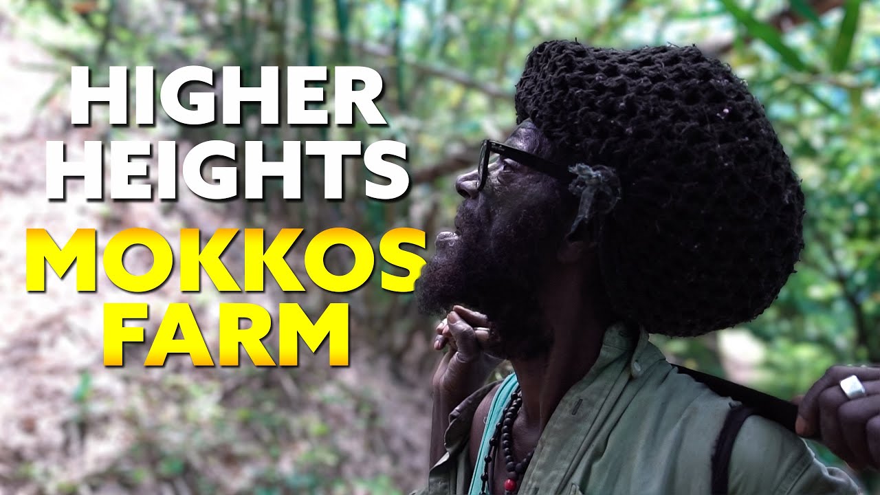 Backpacking Simon - Off to Higher Hights | Mokko's Farm #1 [6/6/2021]