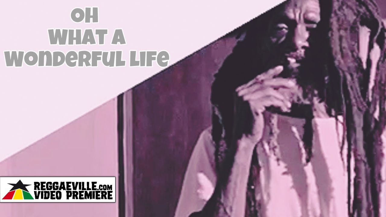 Josh Harris & The Soul Commandos feat. Marty Dread - Wonderful Life (Lyric Video) [8/29/2025]