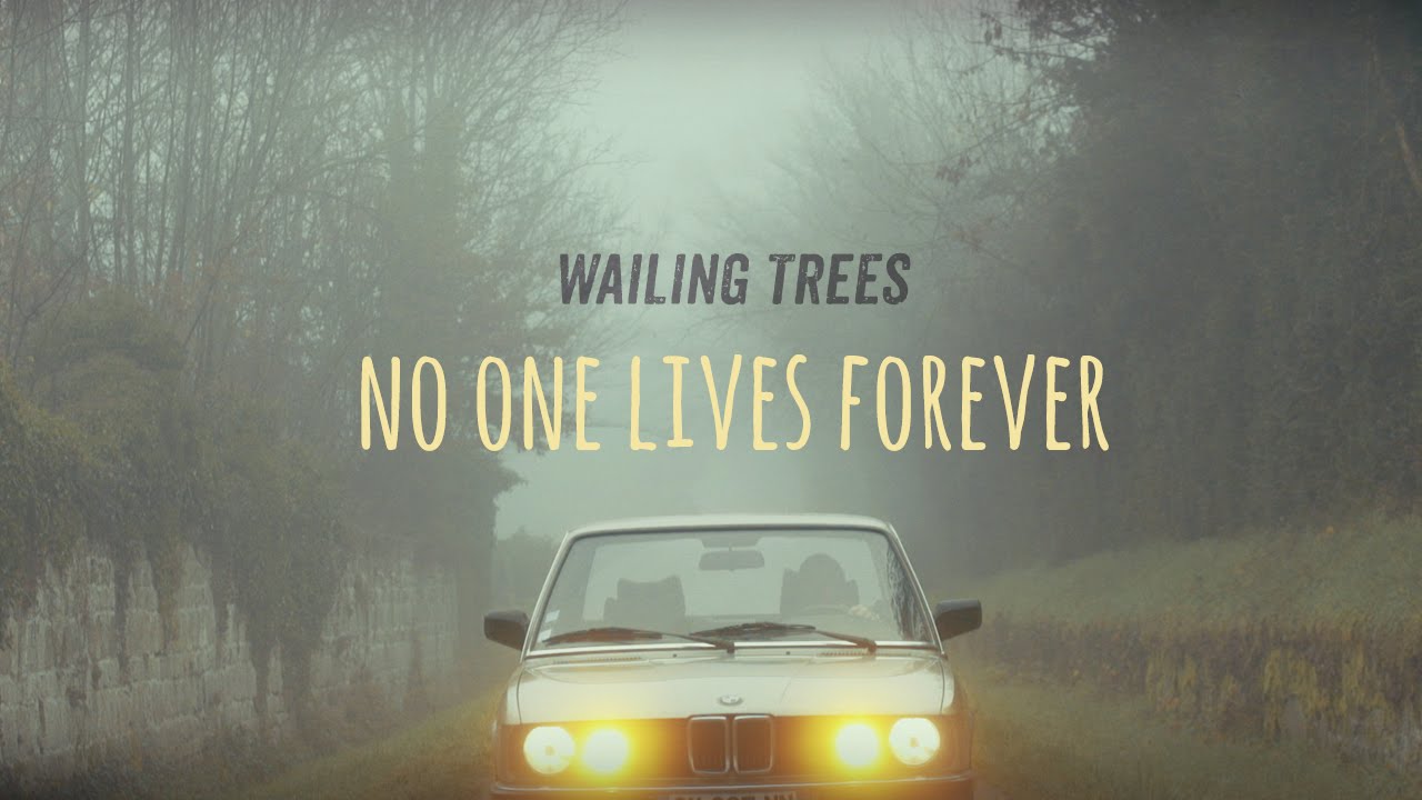 Wailing Trees - No One Lives Forever [2/8/2016]