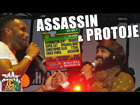 Assassin & Protoje - Who Knows @ Reggae Geel 2015 [7/31/2015]