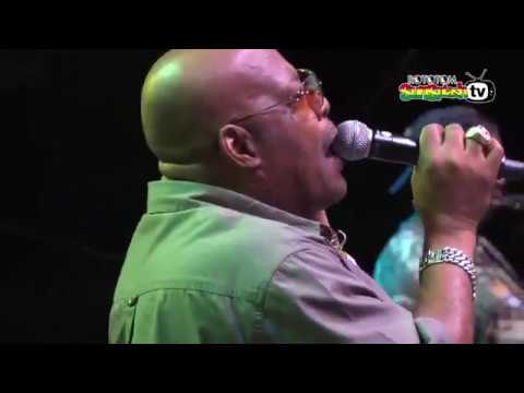 Brigadier Jerry & Josey Wales feat. Lloyd Parks @ Rototom Sunsplash 2015 (Full Show) [8/15/2015]