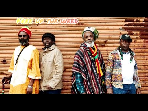 Black Roots - Enlightenment (Lyric Video) [7/10/2021]