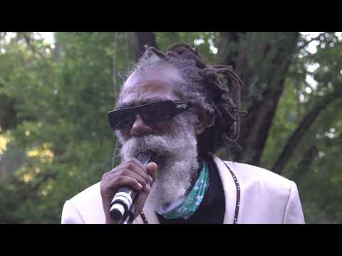 Don Carlos & Dub Vision @ The Right Vibes Festival 2021 (Full Show) [6/19/2021]