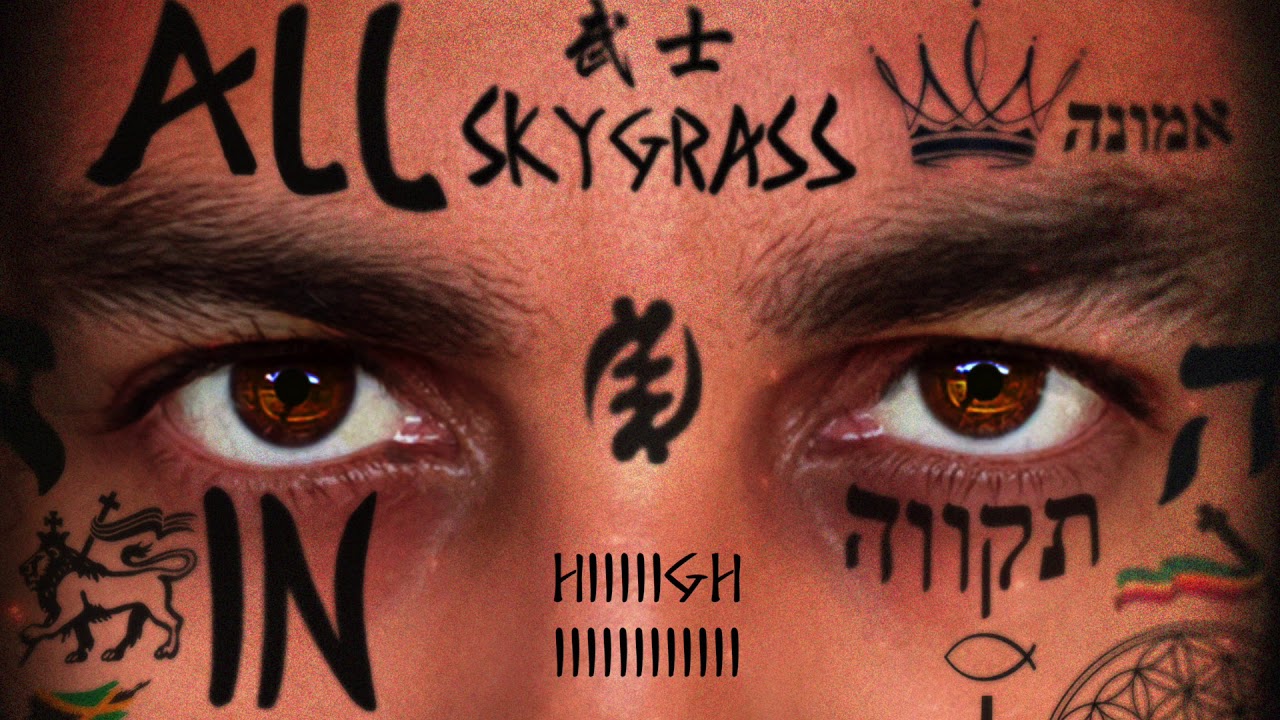 SKYGRASS - All In (Lyric Video) [3/6/2020]