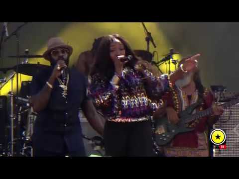 Tarrus Riley feat. Estelle @ Groovin' In The Park 2017 [6/25/2017]