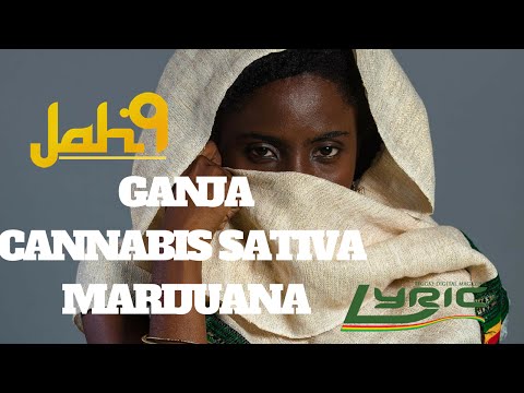 Jah9 about Marijuana by Lyric DVD [10/13/2015]
