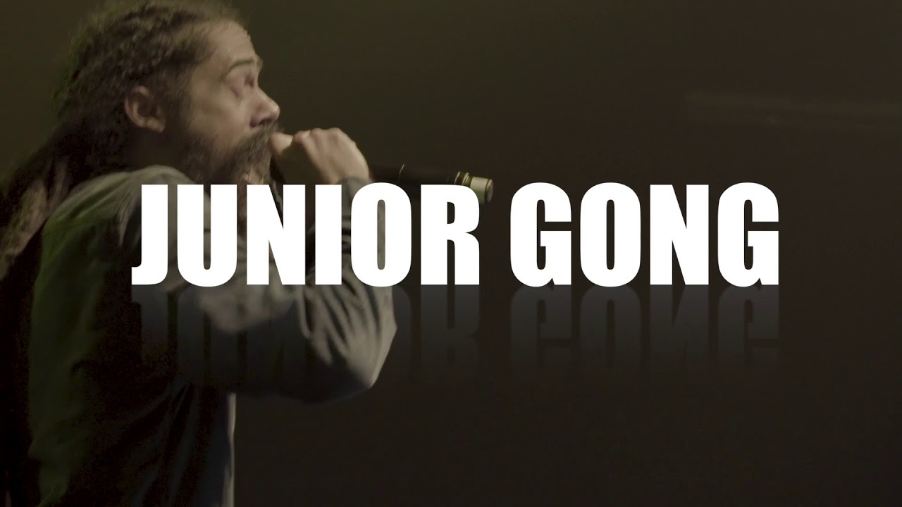 Damian Junior Gong Marley @ Groovin In The Park 2018 (Teaser) [6/4/2018]