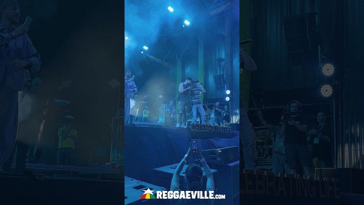 Mellow Mood with special guests Lasai & Sr Wilson @ Rototom Sunsplash 2025 [8/22/2025]