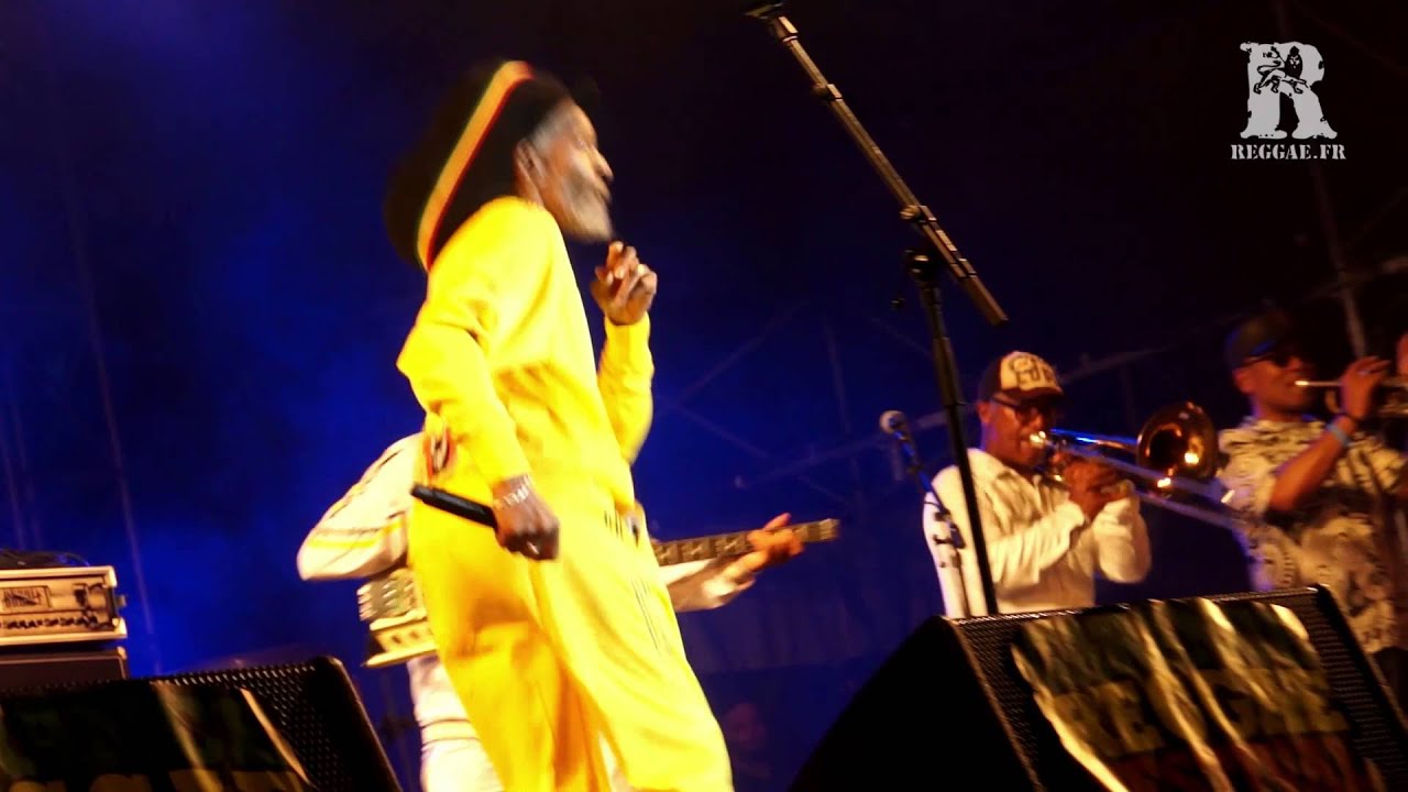 Jah Shaka @ Garance Reggae Festival 2014 [7/28/2014]