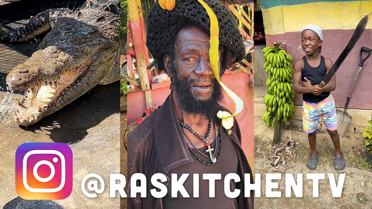 Ras Kitchen - Crocodiles, Rasta Farming & Red Stripe Trucks (Instagram Stories 2022) [7/8/2022]