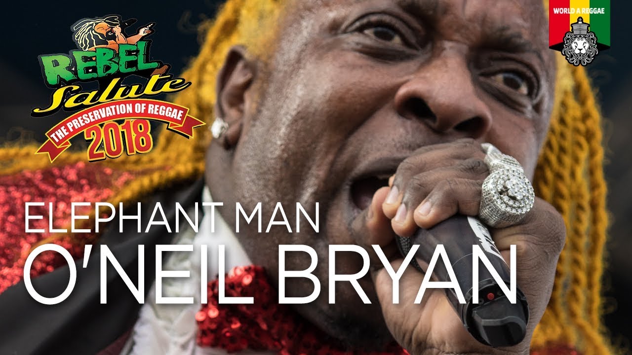 O'Neil Bryan aka Elephant Man @ Rebel Salute 2018 [1/13/2018]