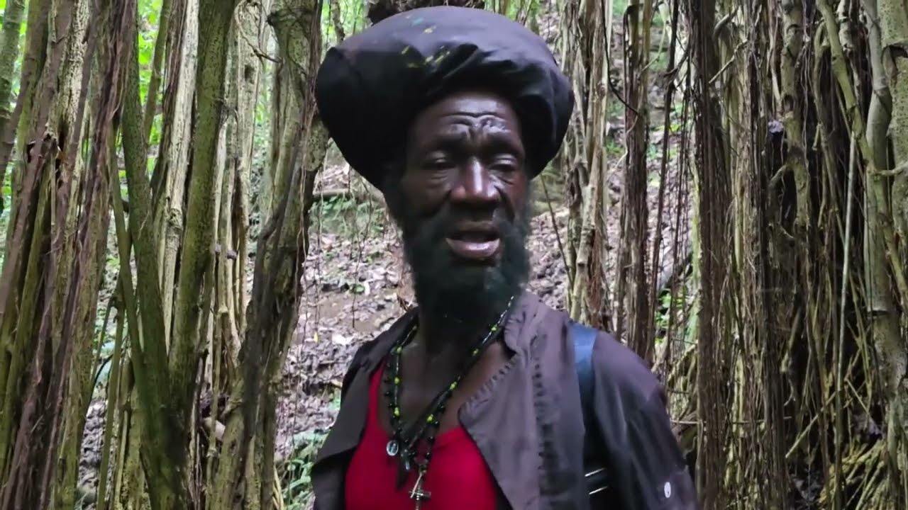 Ras Mokko - Tree Of Life [7/6/2025]