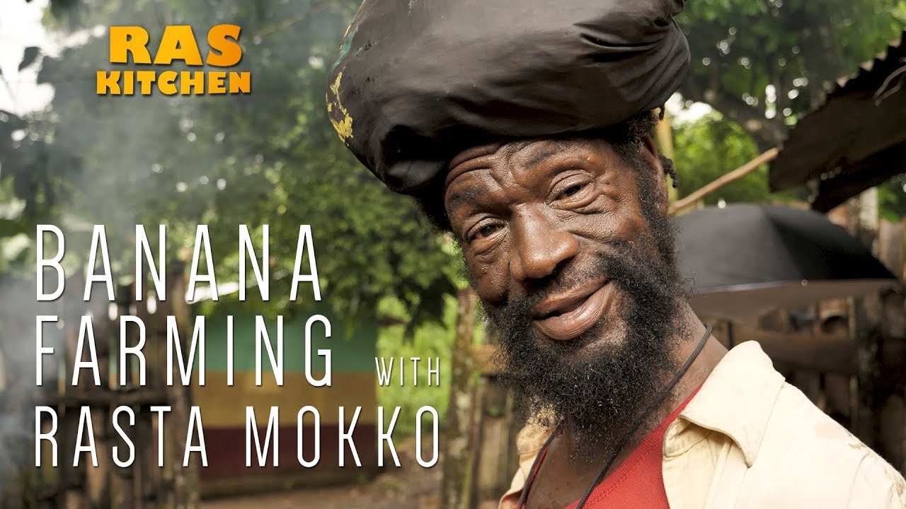 Ras Kitchen - Banana Farming with Rasta Mokko [11/17/2017]
