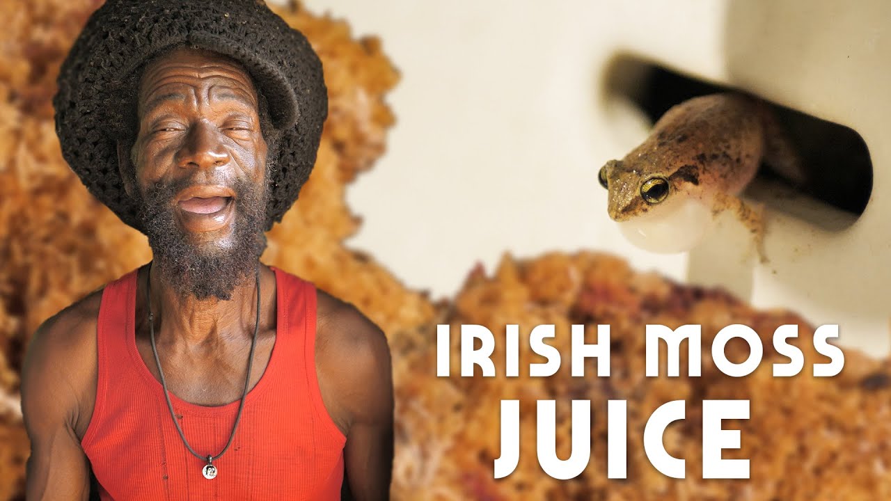 Ras Kitchen - Bob Marley Favourite! Irish Moss Juice [12/6/2019]