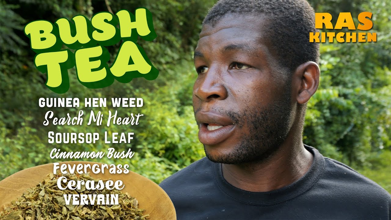 Video Ras Kitchen Bush Tea Hike with Coppy! Guinea Hen Weed, Search
