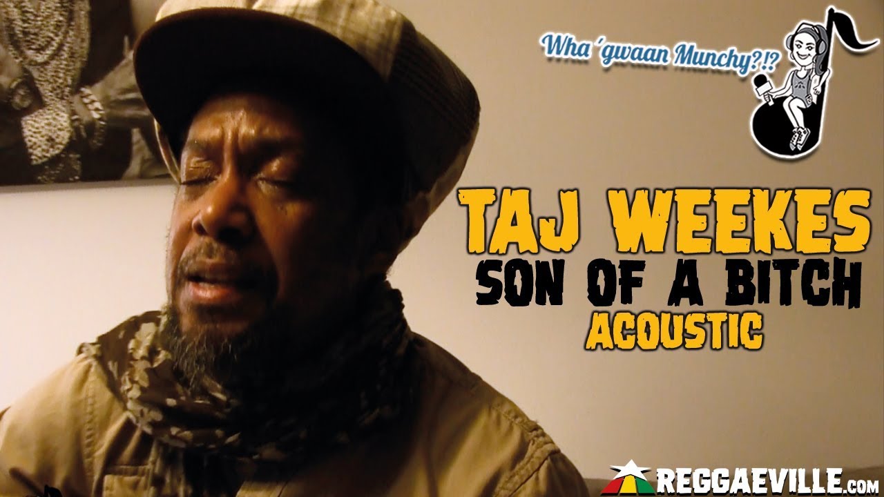 Taj Weekes - Son Of A Bitch @ Wha' Gwaan Munchy?!? 2019 [4/9/2019]