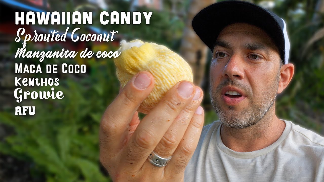 Ras Kitchen - Trying Hawaiian Candy aka Sprouted Coconut! [3/6/2023]