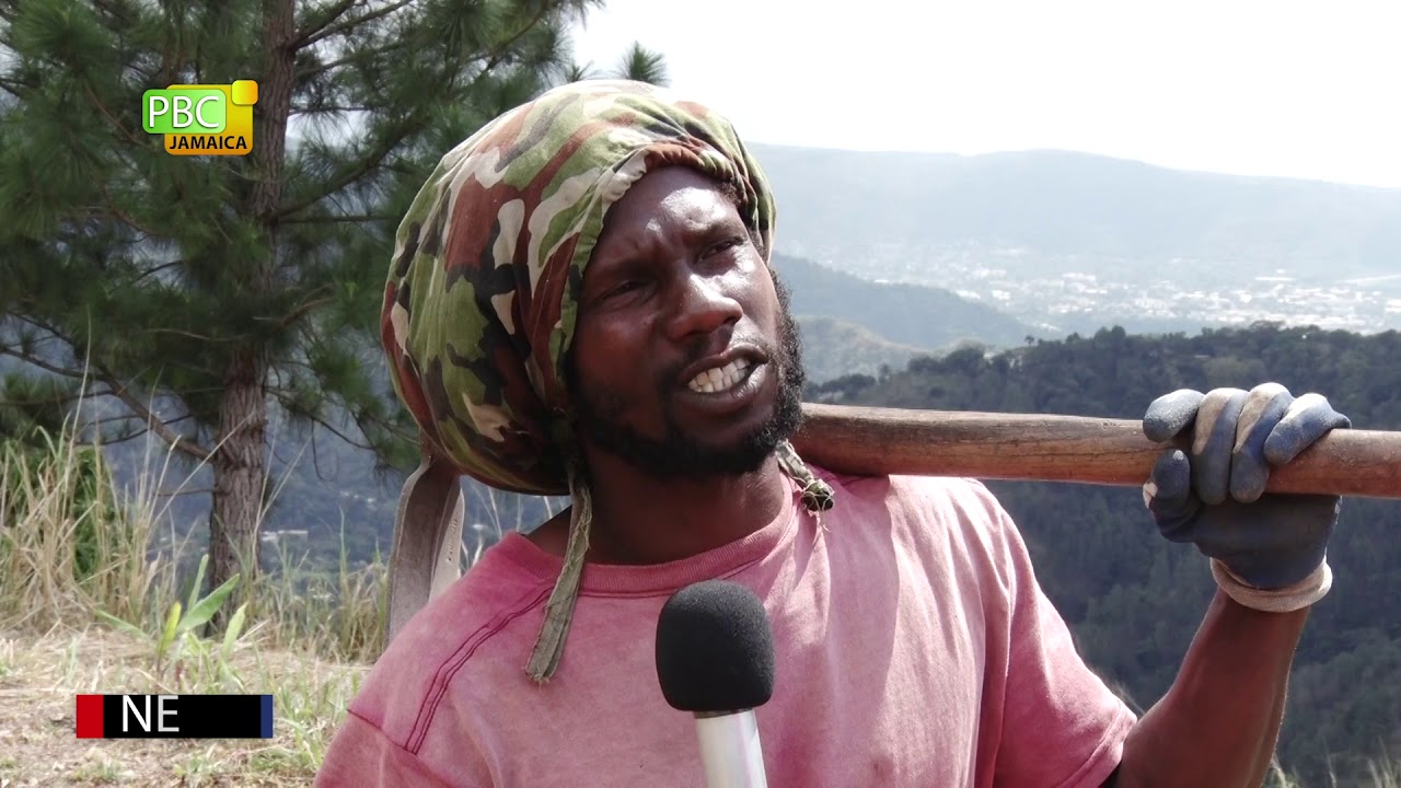 Rasta Camp Speaks about COVID-19 [3/30/2020]