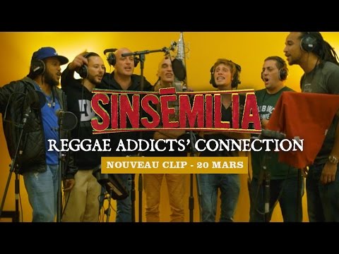 Sinsemilia - Reggae Addict's Connection (Teaser #1) [3/6/2015]