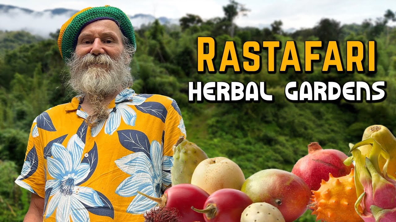 Ras Kitchen - Weird & Wild Fruit Tasting at Rastafari Herbal Gardens [11/29/2024]