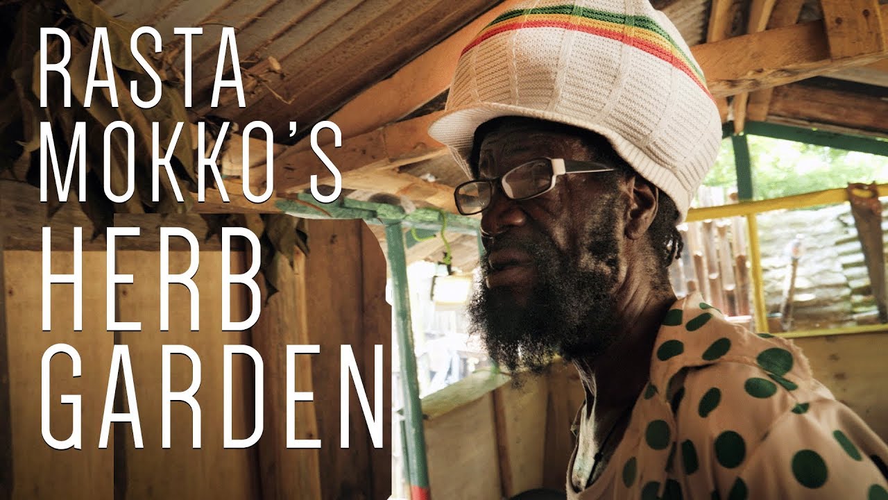 Ras Kitchen - Rasta Mokko's Herb Garden [10/19/2018]