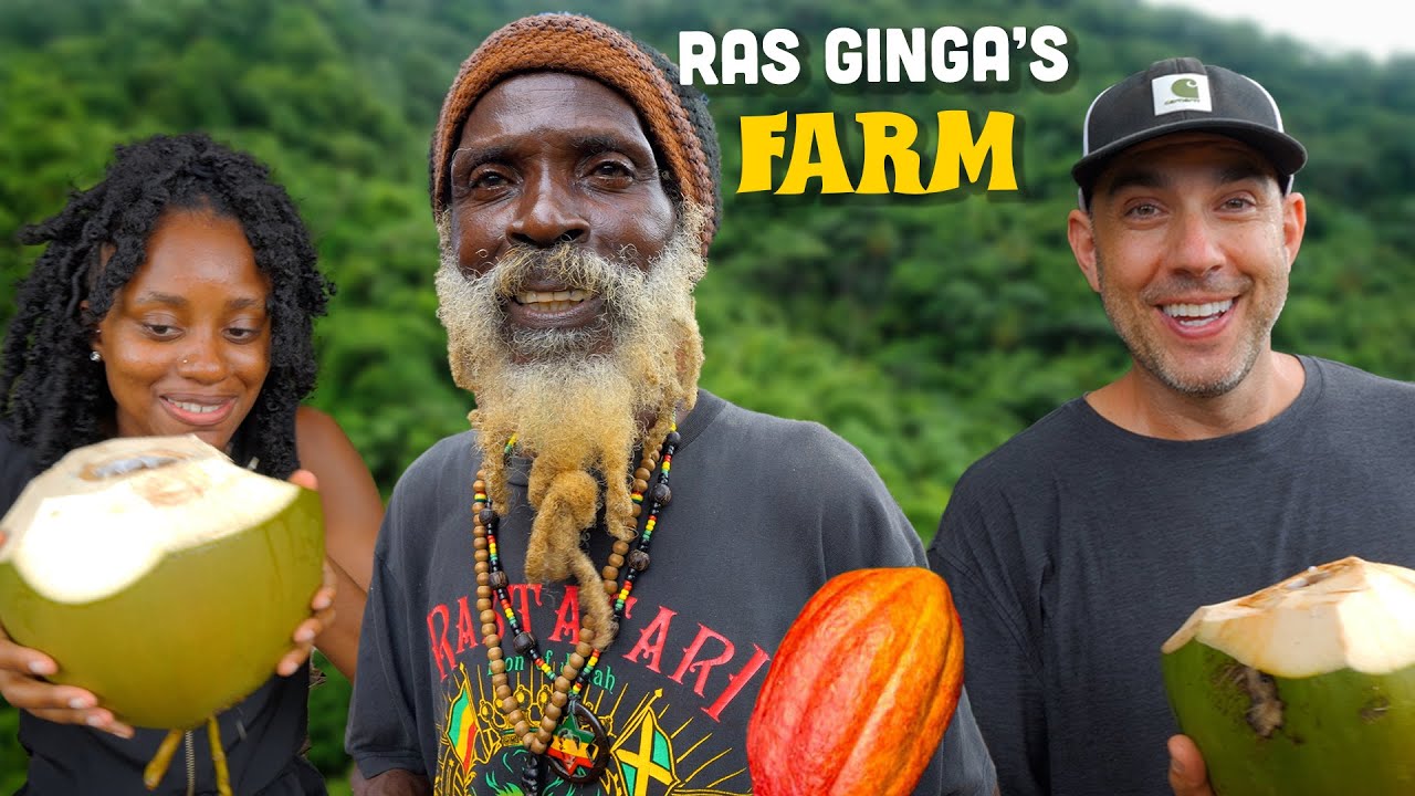 Organic Farming with Ras Ginga - Huge Coconuts, Cocoa Fruit tasting & Raising Goat [9/18/2023]