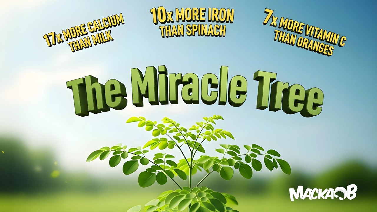 Macka B's Medical Monday - The Miracle Tree [6/16/2025]