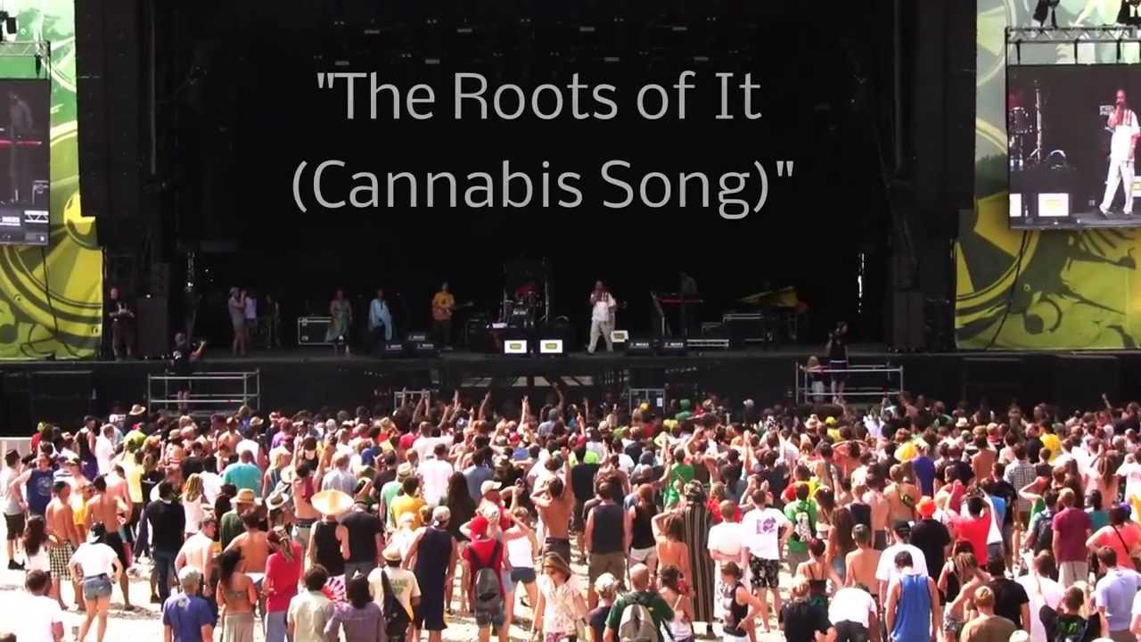 Uwe Banton & The Ocean 5 Band - The Roots Of It (Cannabis Song) @ Chiemsee Reggae Summer 2013 [8/24/2013]