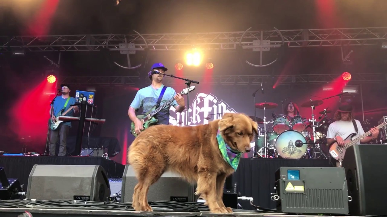 Stick Figure @ California Roots Festival 2017 (Recap) [6/2/2017]