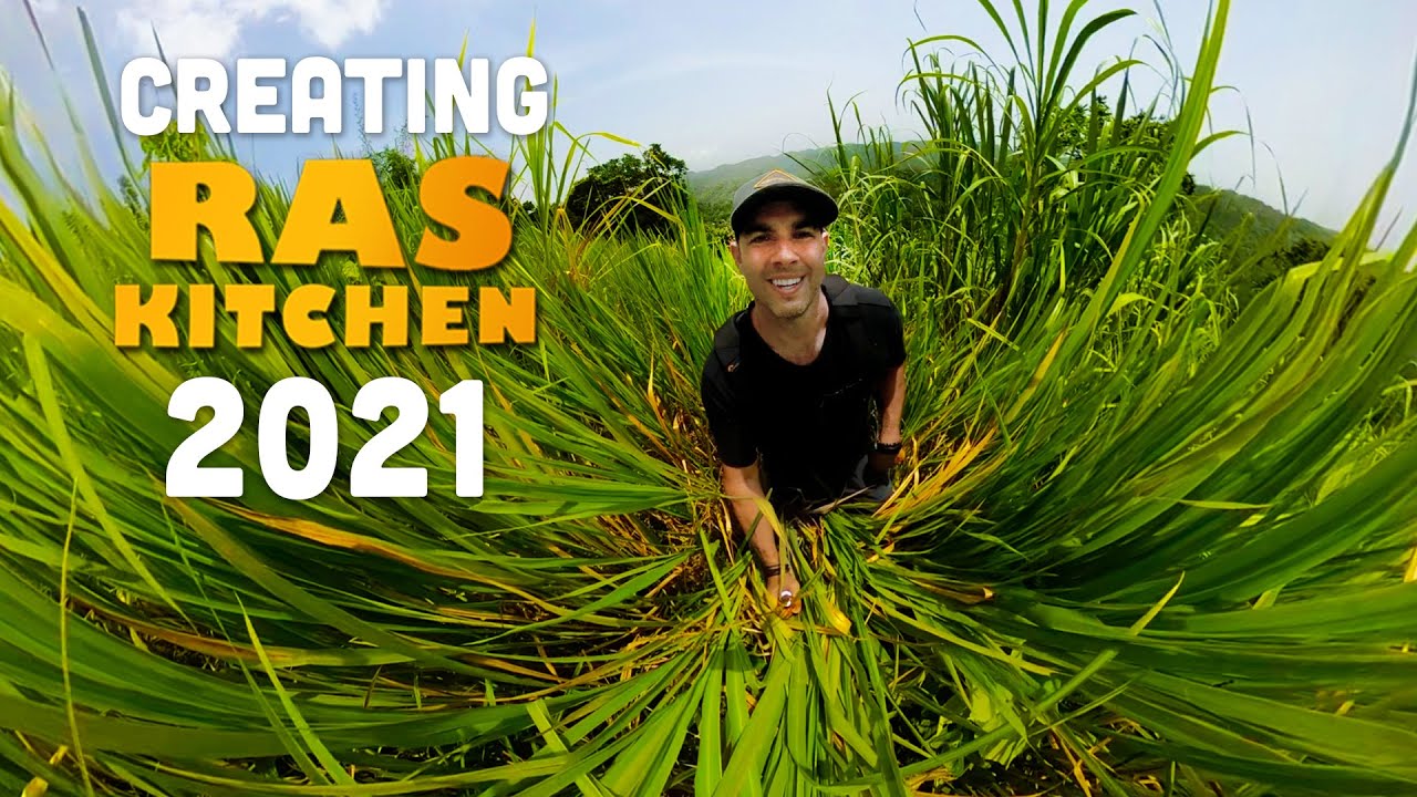 Ras Kitchen - What I Use to Create Ras Kitchen in 2021 [10/4/2021]