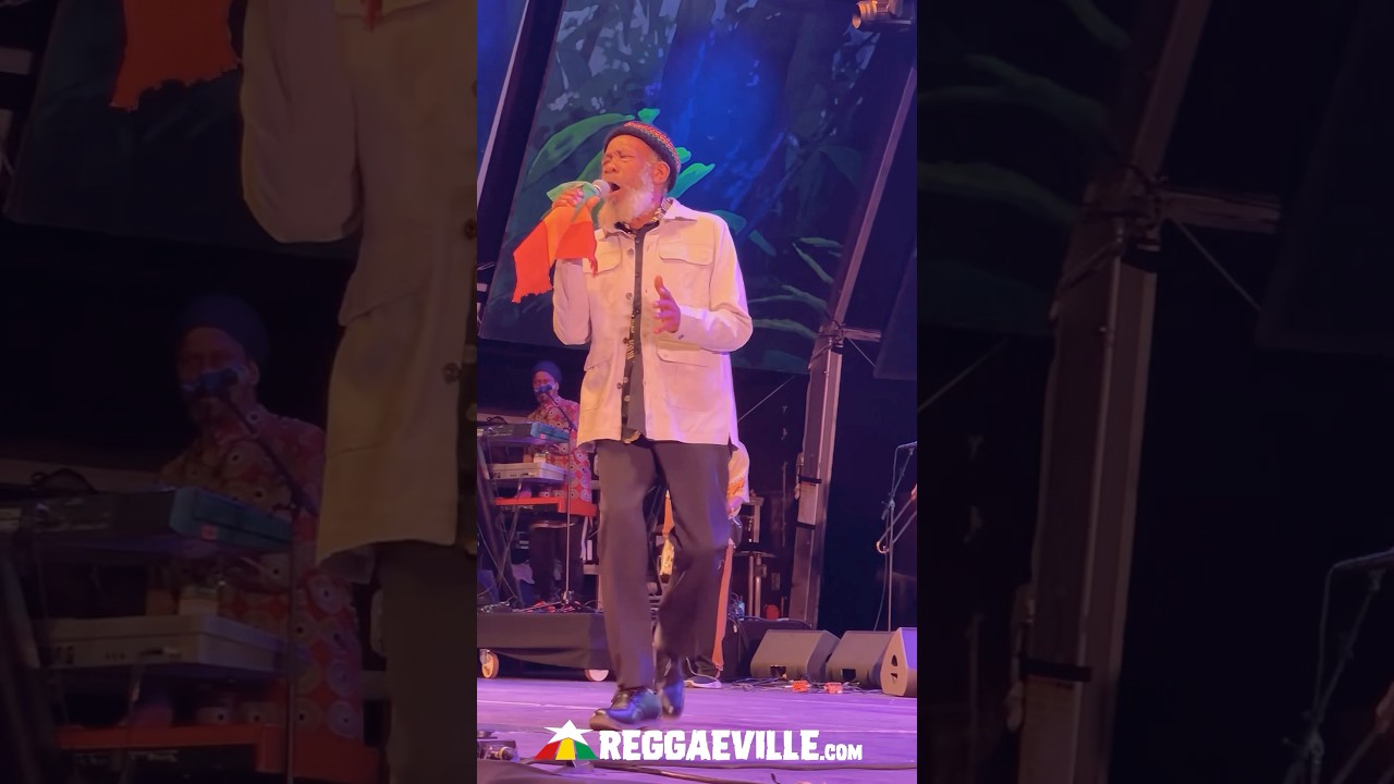 Misty in Roots @ Rototom Sunsplash 2025 [8/22/2025]