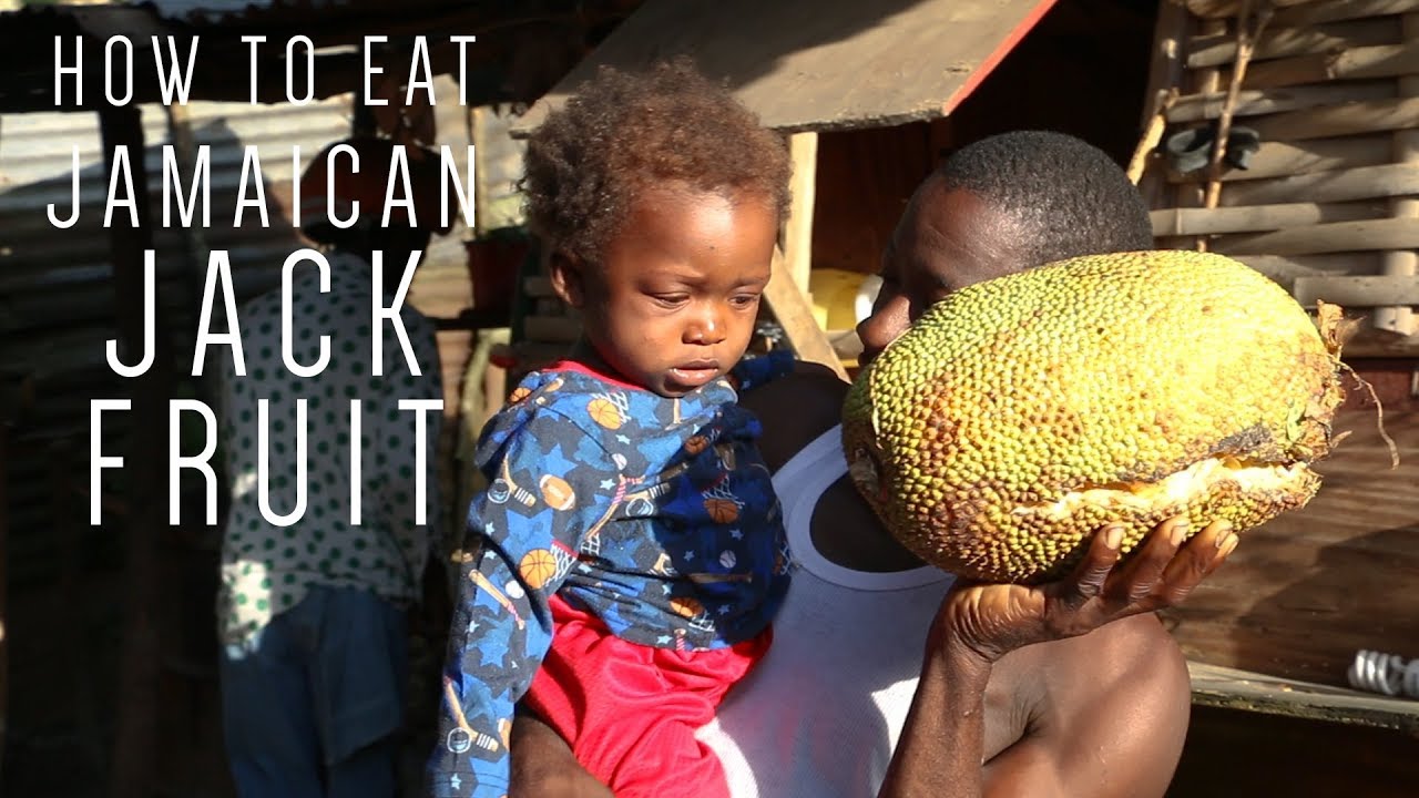 Ras Kitchen feat. Ratty - How To Eat Jamaican Jackfruit [8/12/2017]